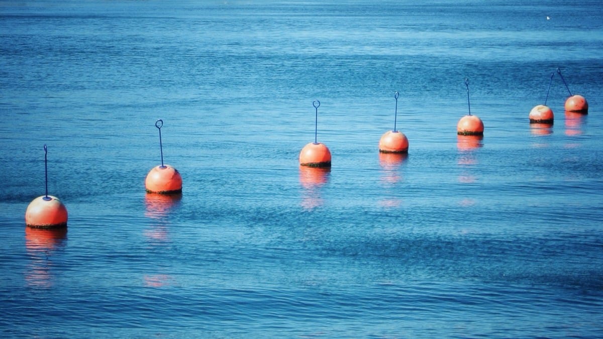 Wittaya Aqua's data-driven AI helps seafood farmers increase aquaculture production | TechCrunch